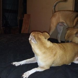 Meet your Posher, Bryan